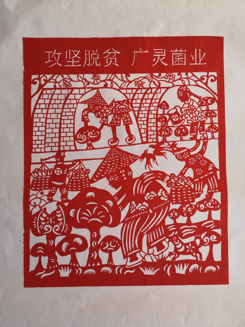 攻坚脱贫 广灵菌业